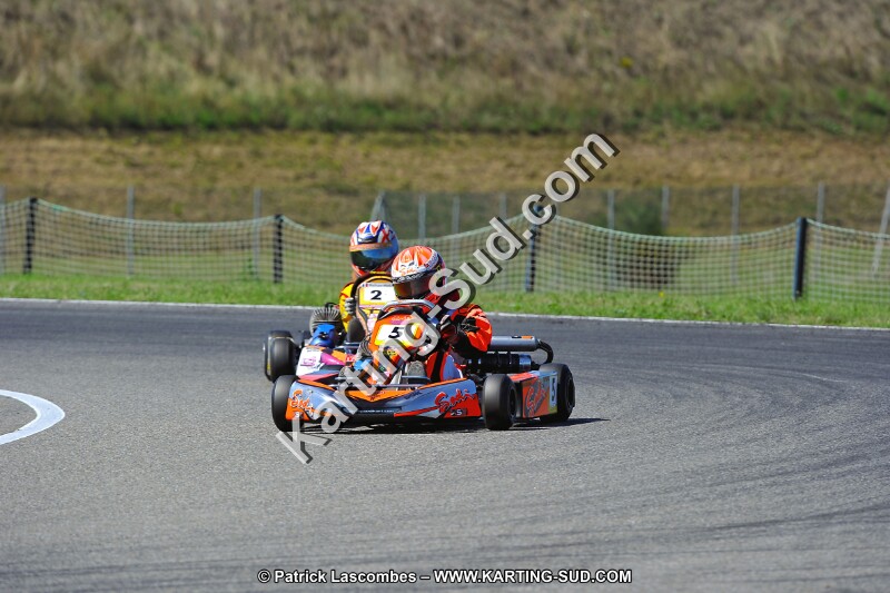 DSC_ (1571).jpg